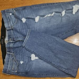Torrid Blue Skinny Jeans with Distressed Details